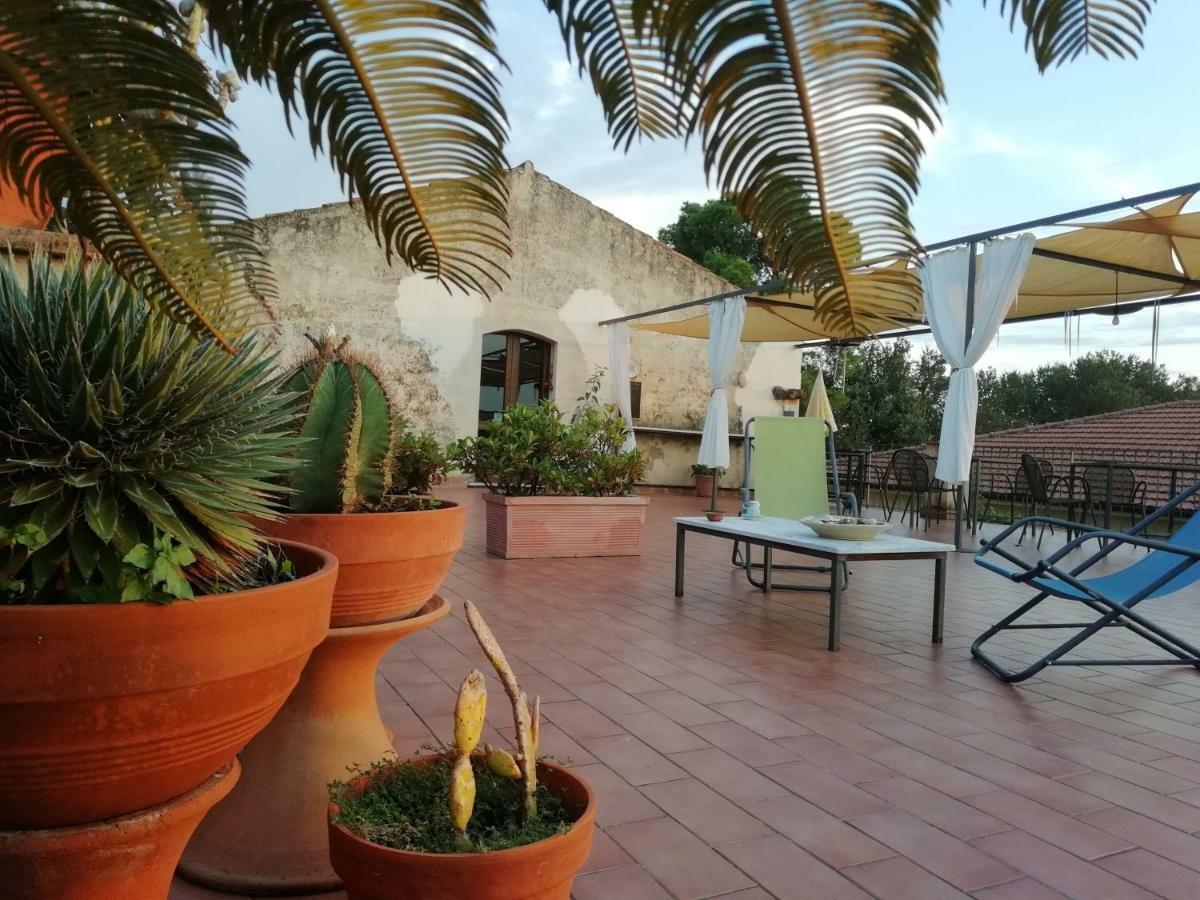 Bed and Breakfast Casa Del Geco Paestum Exterior foto